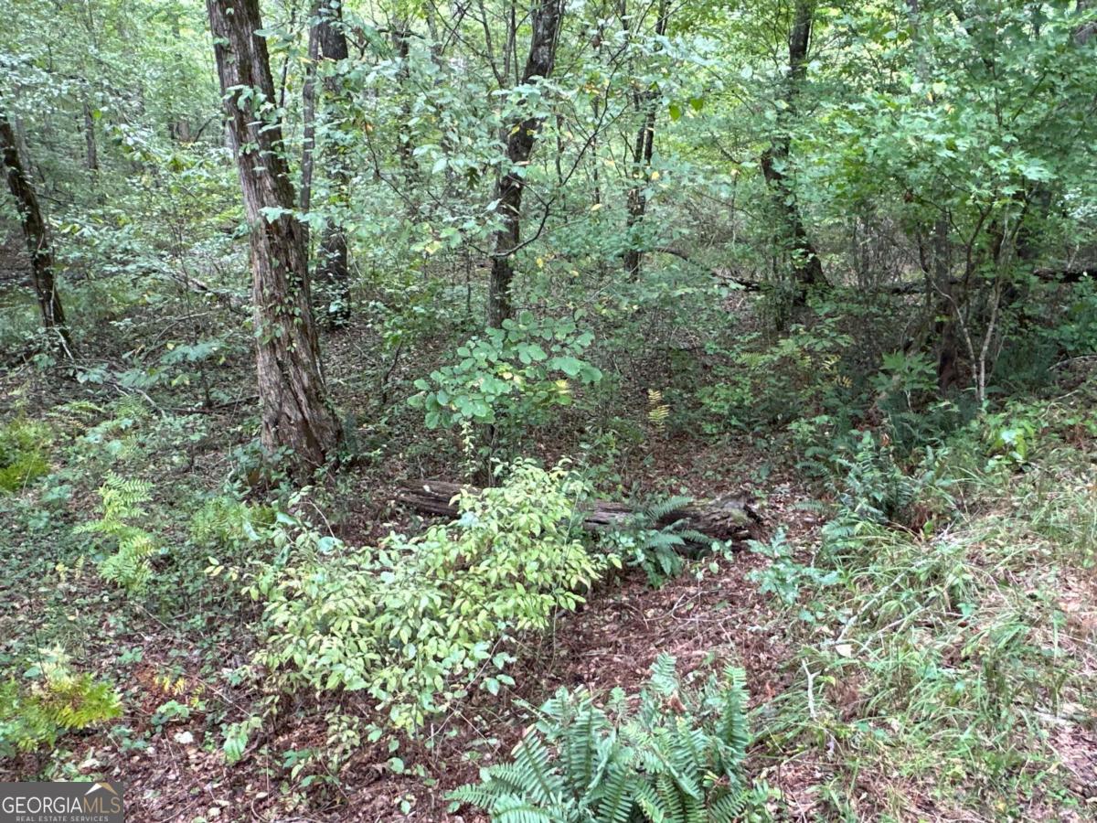 1849 Prior Station RD 76 ACRES
