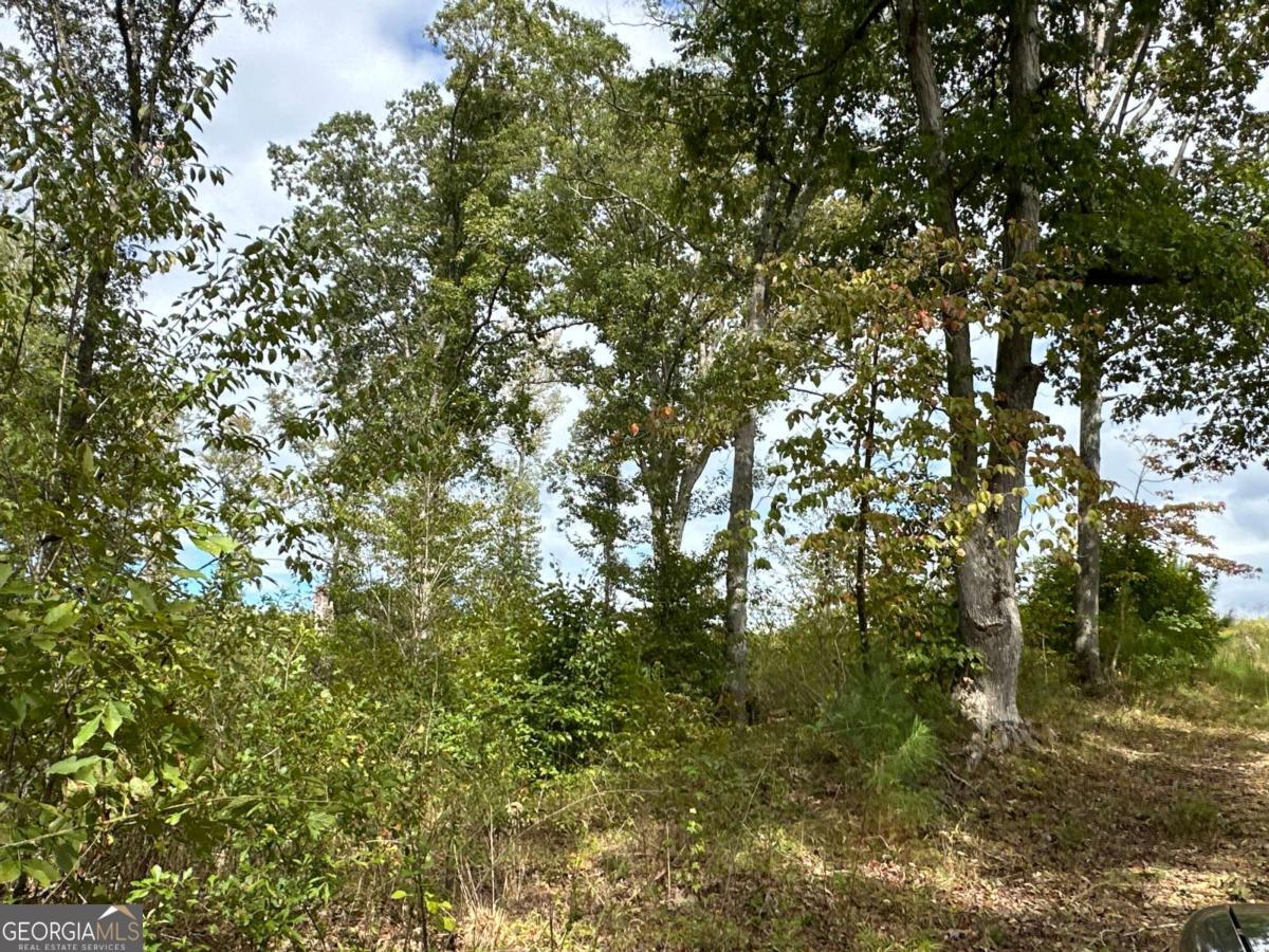 1849 Prior Station RD 76 ACRES