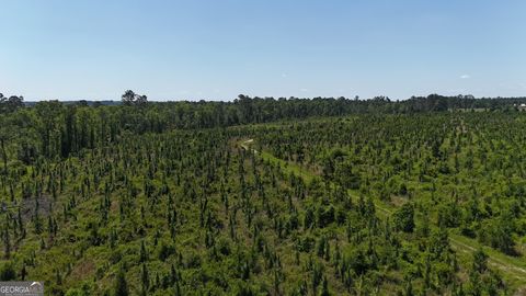 Photo of 0 Deer Run Road, Vidalia, GA 30474 (MLS # 10537580) Photo of 0 Deer Run Road, Vidalia, GA 30474 (MLS # 10537580)