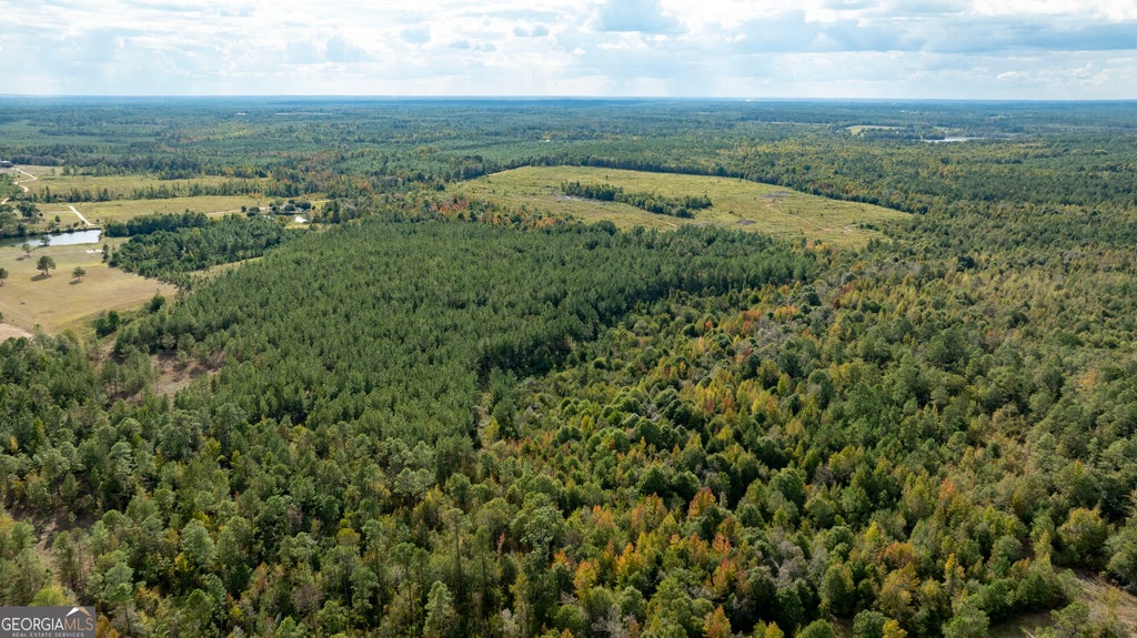 Photo of 0 Fortner Pond Road, Kite, GA 31049 (MLS # 10875614)