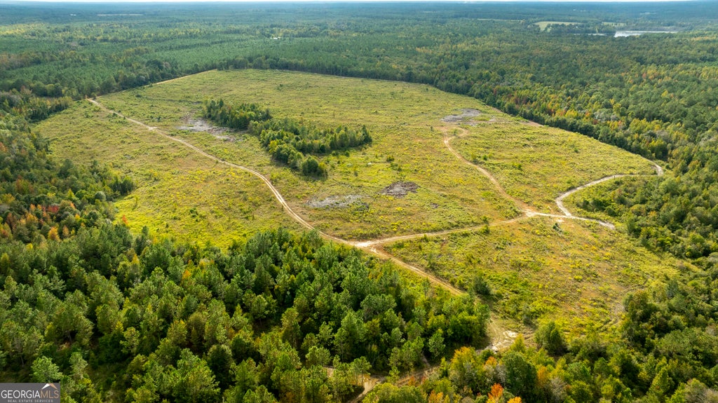 Photo of 0 Fortner Pond Road, Kite, GA 31049 (MLS # 10875614)