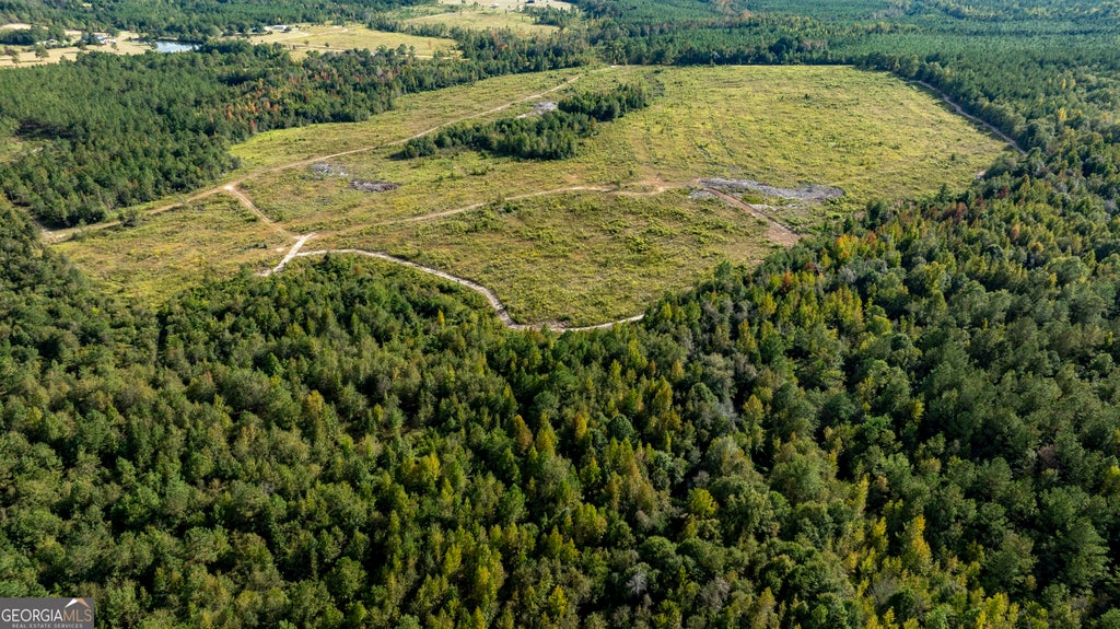 Photo of 0 Fortner Pond Road, Kite, GA 31049 (MLS # 10875614)