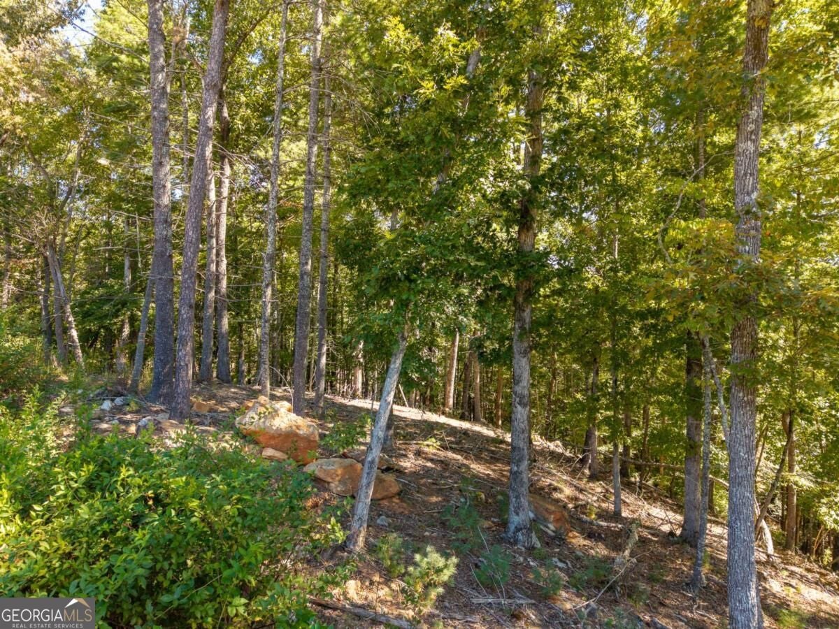 LOT 62 Ridge DR 62