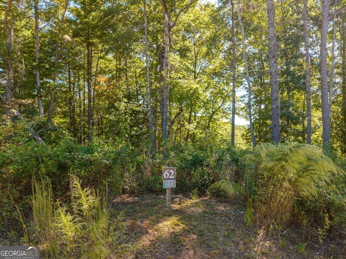 LOT 62 Ridge DR 62