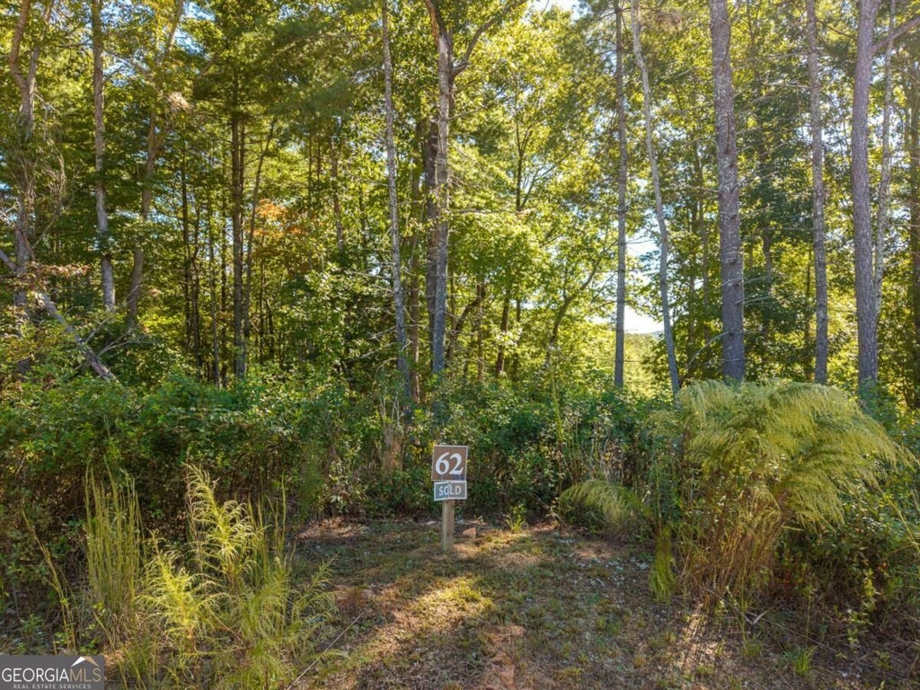 Photo of 62 Ridge Drive #62, Blue Ridge, GA 30513 (MLS # 10869268)