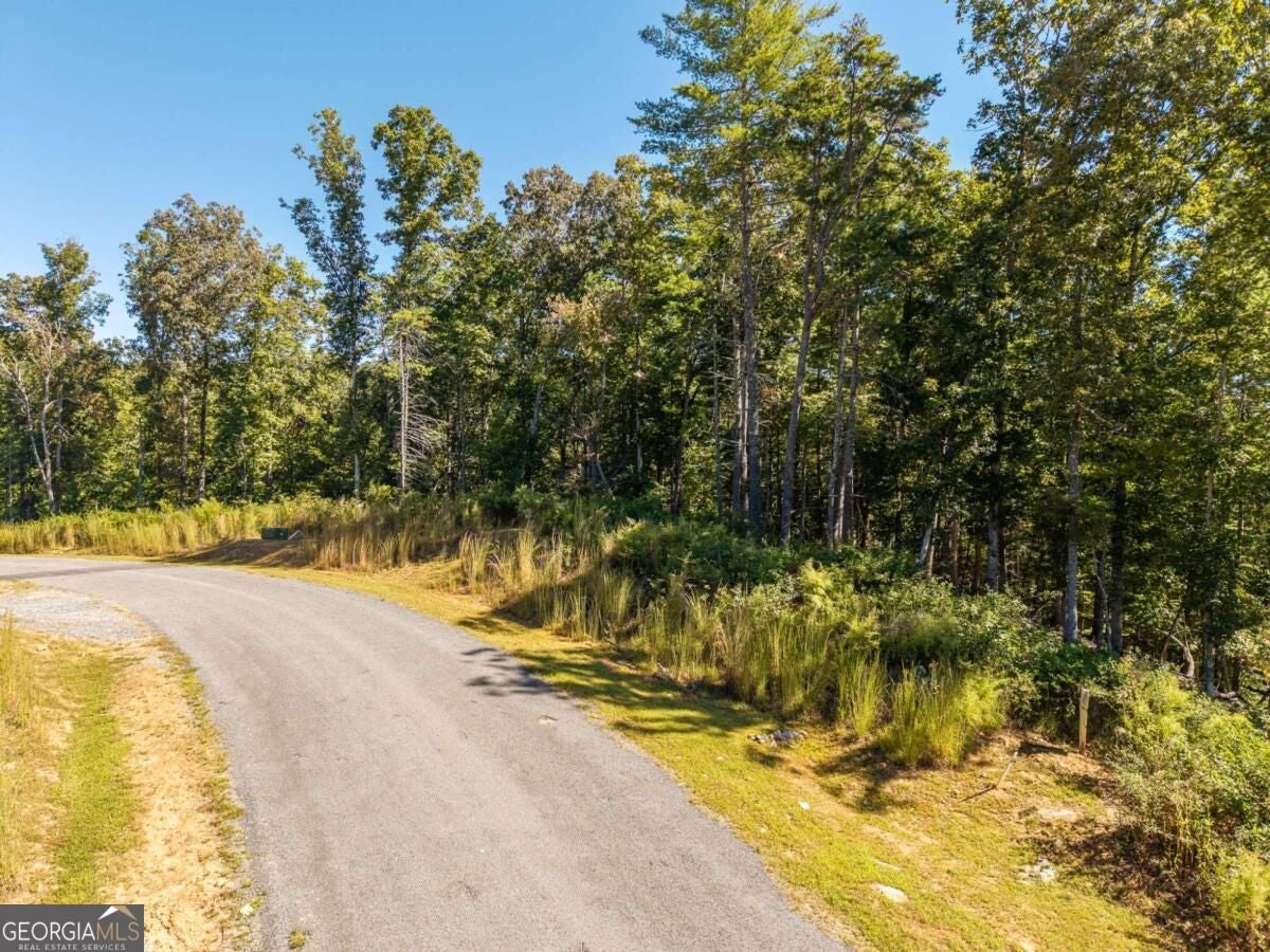 LOT 62 Ridge DR 62