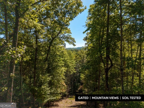 Photo of 62 Ridge Drive #62, Blue Ridge, GA 30513 (MLS # 10869268)