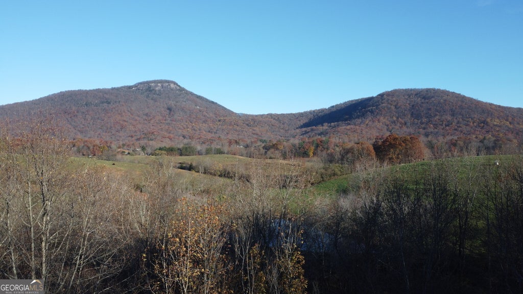 Photo of 0 Helen Hwy, Cleveland, GA 30528 (MLS # 10804207)