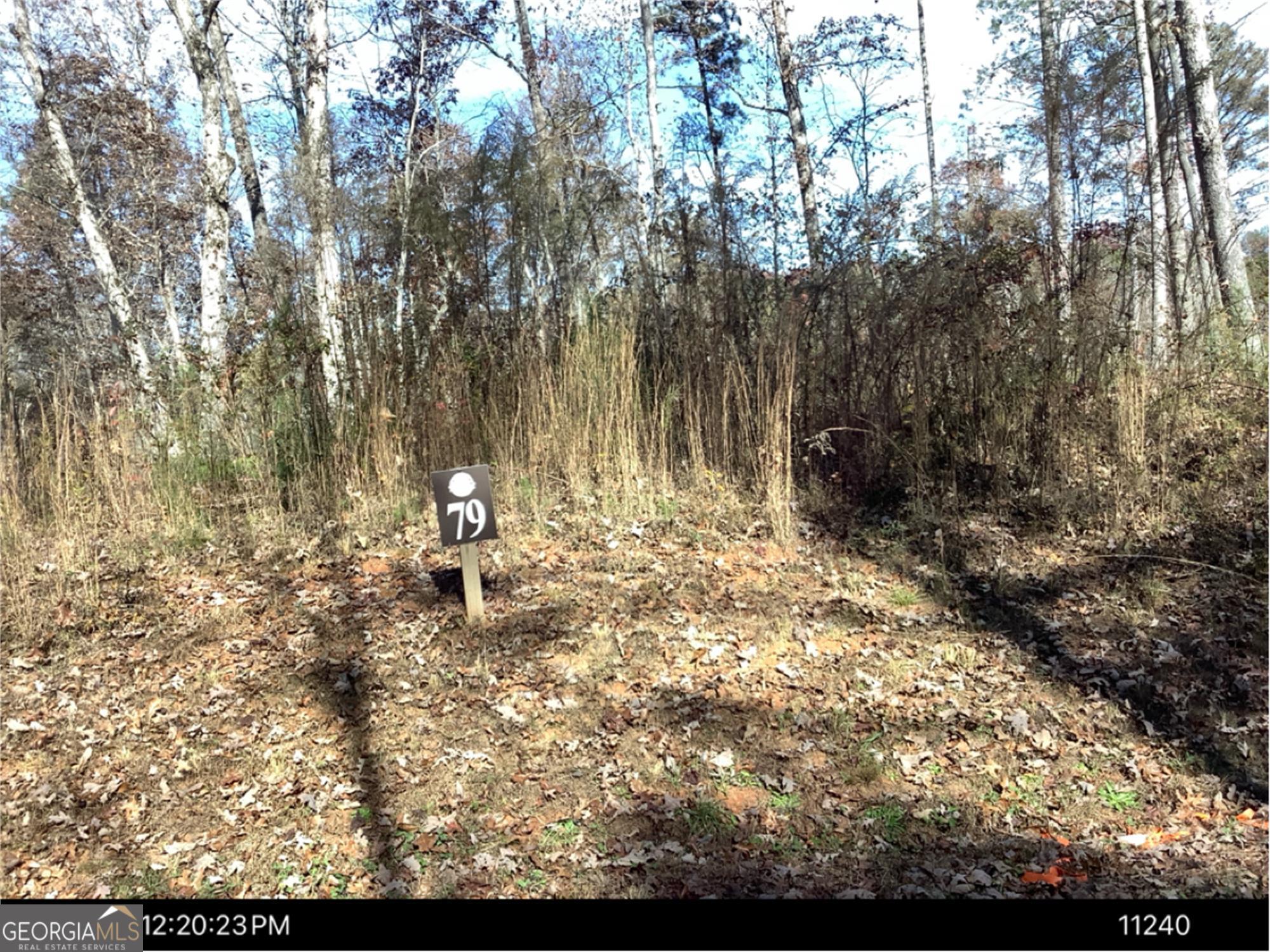 0 Faith CT LOT 79