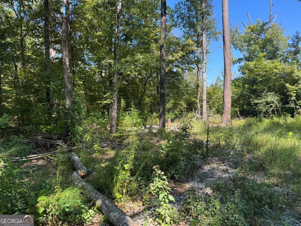 Photo of 0 Highway 18 E, Gray, GA 31032 (MLS # 10874432)