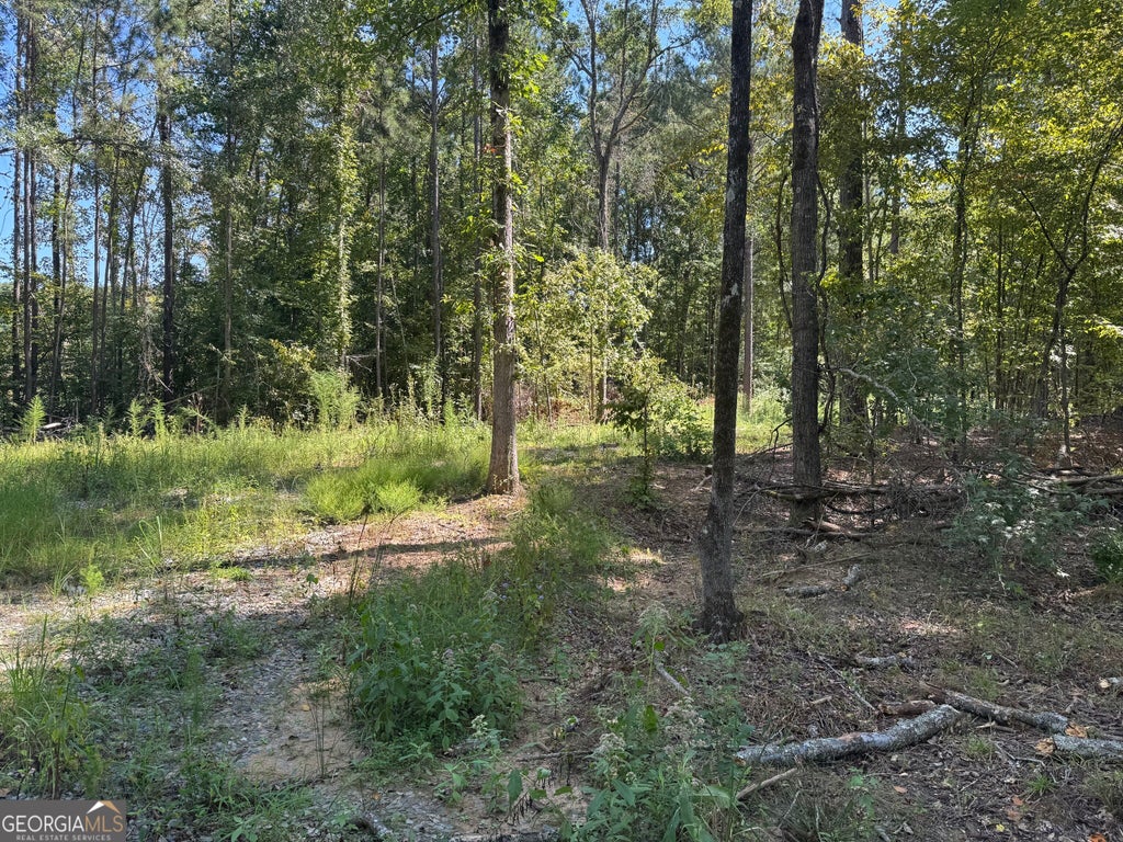 Photo of 0 Highway 18 E, Gray, GA 31032 (MLS # 10874432)