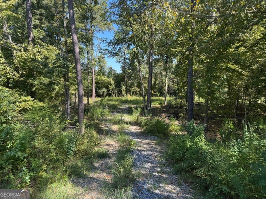 0 HIGHWAY 18 E, GRAY, GA 31032 - Image d9e5b8298a3ebf0b8a551f5f99ec4ac3/3705626415