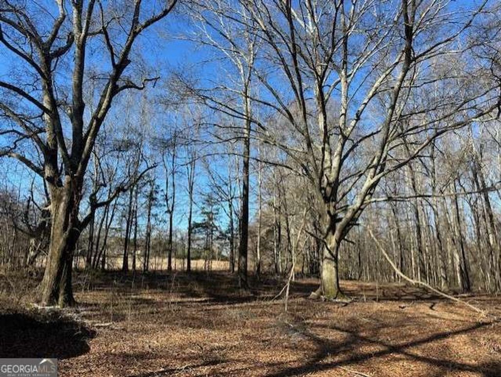 Photo of 2644 Nunnally Shoals Tract 2 Road, Good Hope, GA 30641 (MLS # 10679910)