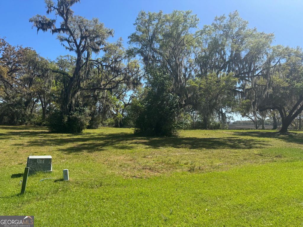 Photo of 38 Coopers Point Drive NE, Townsend, GA 31331 (MLS # 10733109)