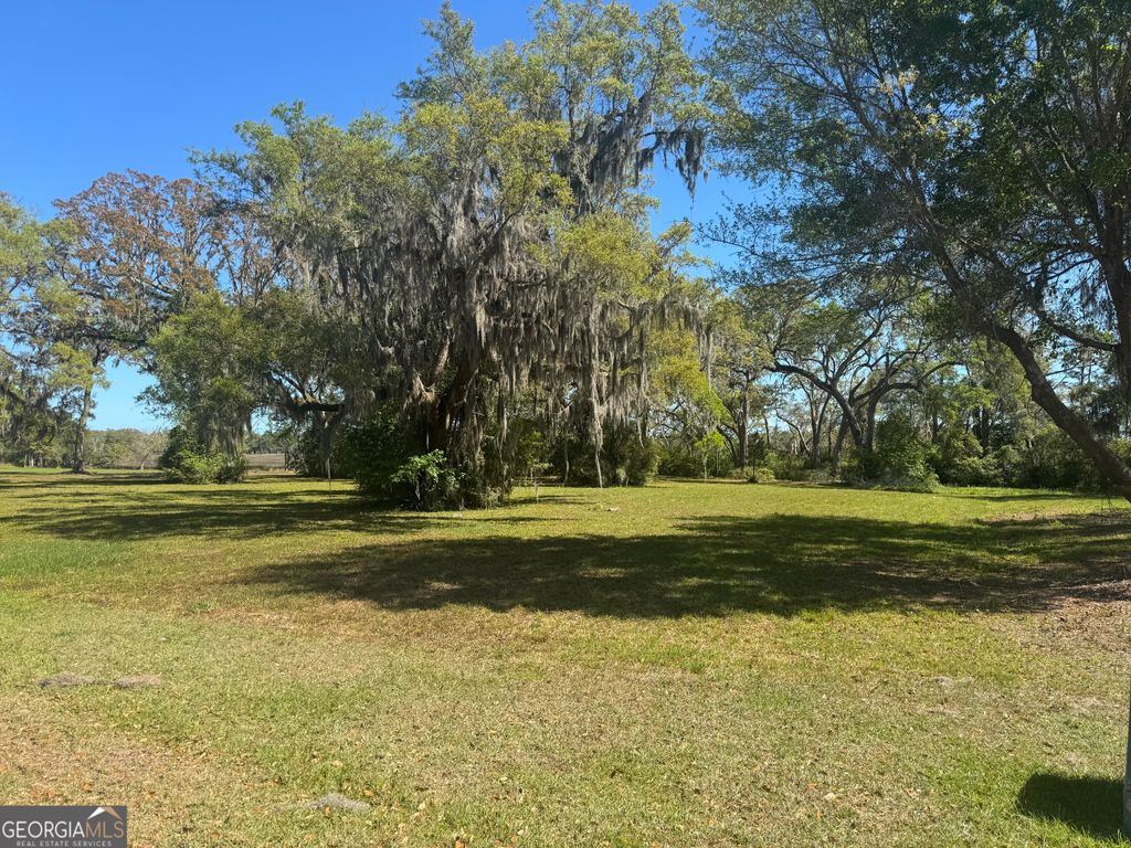 Photo of 38 Coopers Point Drive NE, Townsend, GA 31331 (MLS # 10733109)