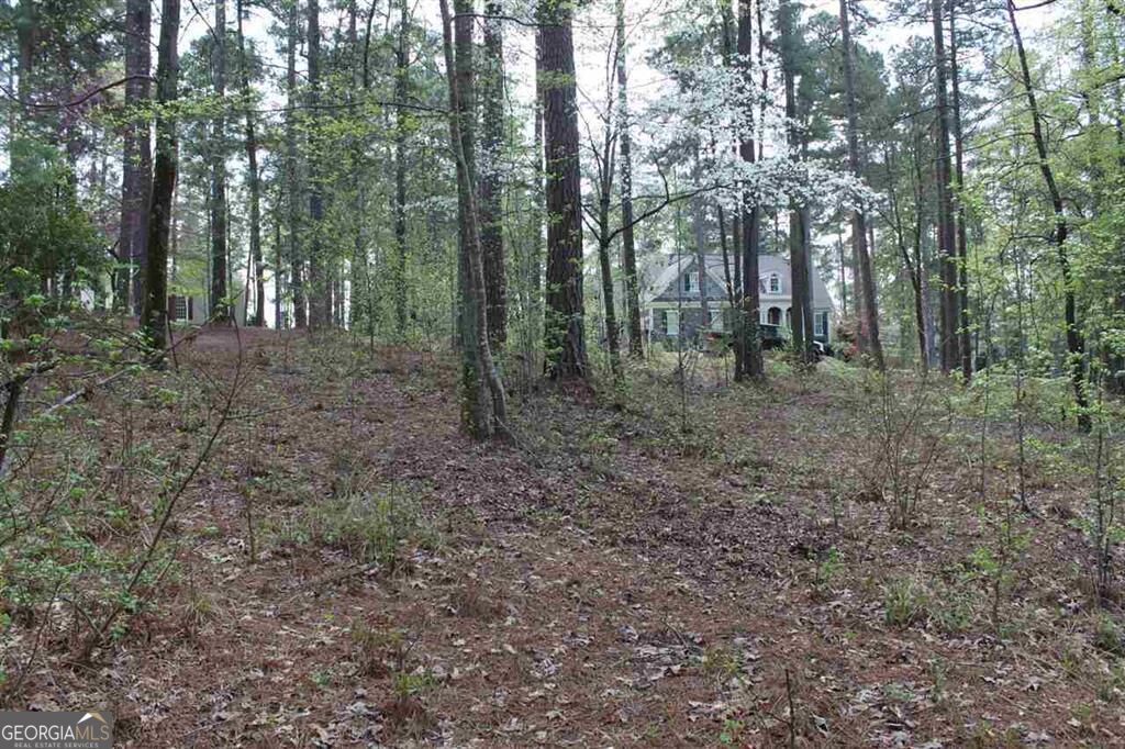 Photo of 1271 Planters Trail, Greensboro, GA 30642 (MLS # 10876705)