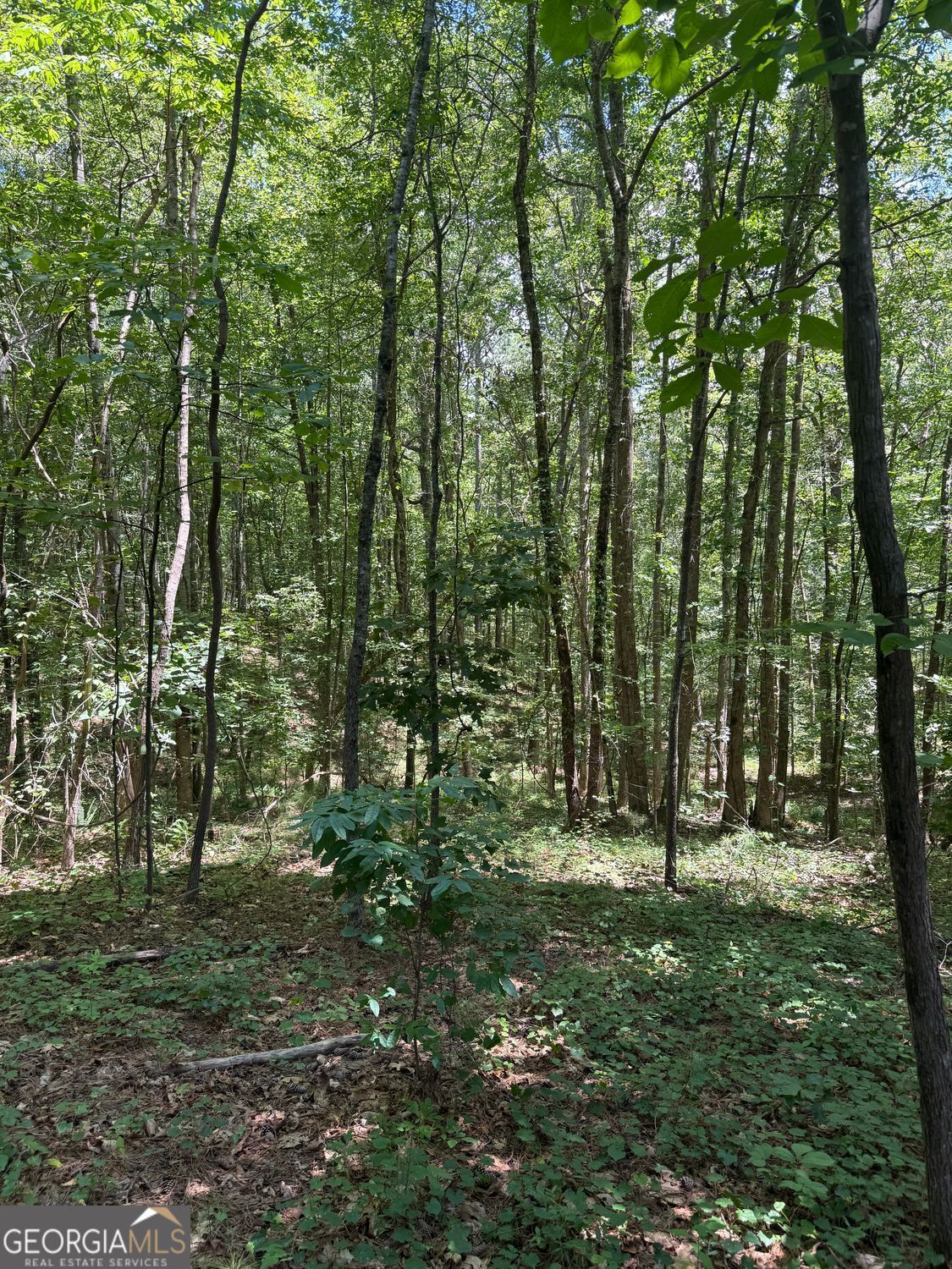 15 Sweetwater Creek DR