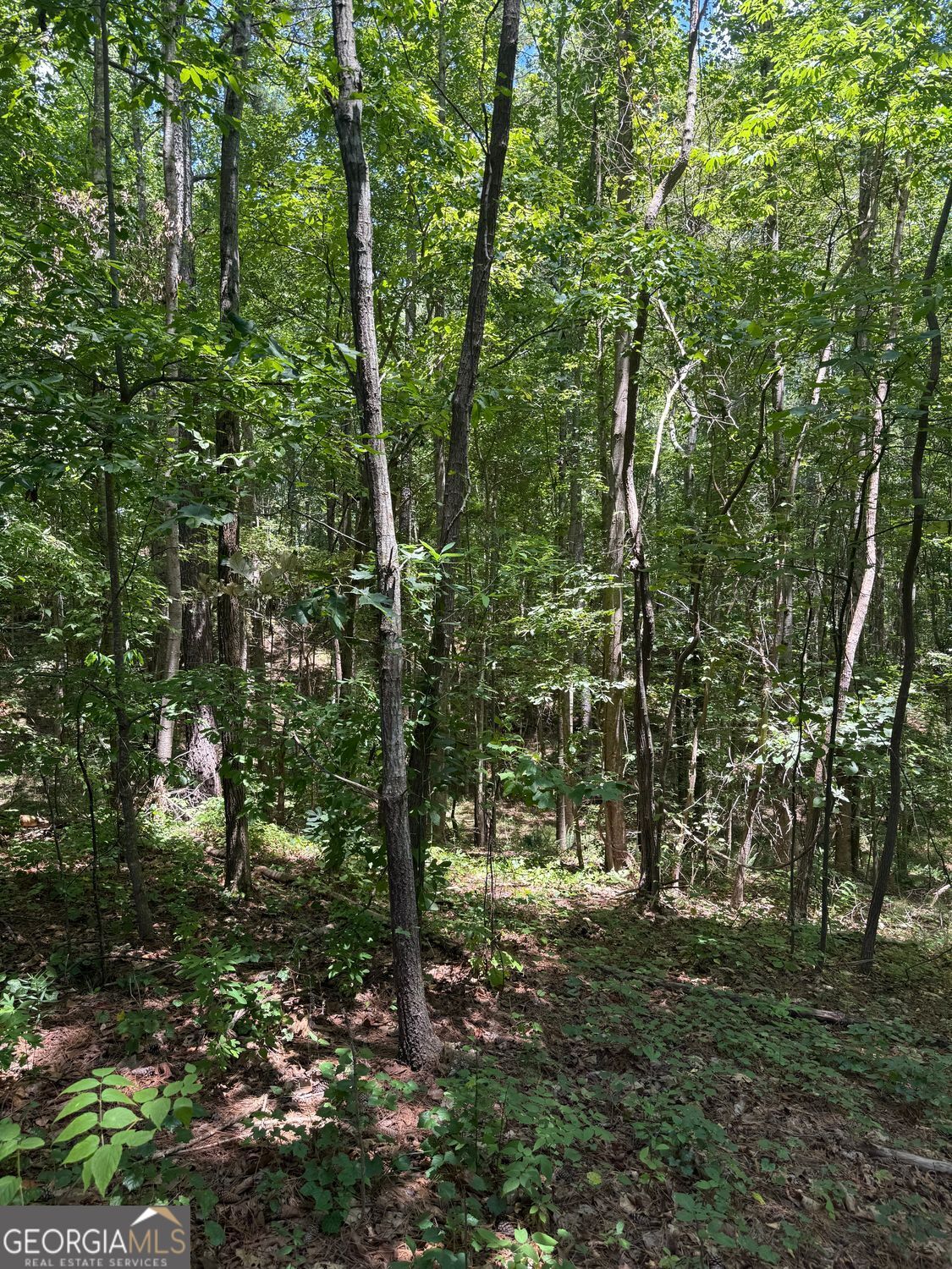 15 Sweetwater Creek DR