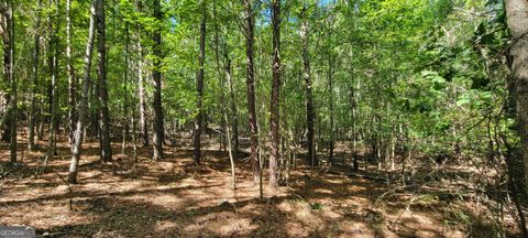 Photo of 5 Ripplewood Trail, Euharlee, GA 30145 (MLS # 10582043)