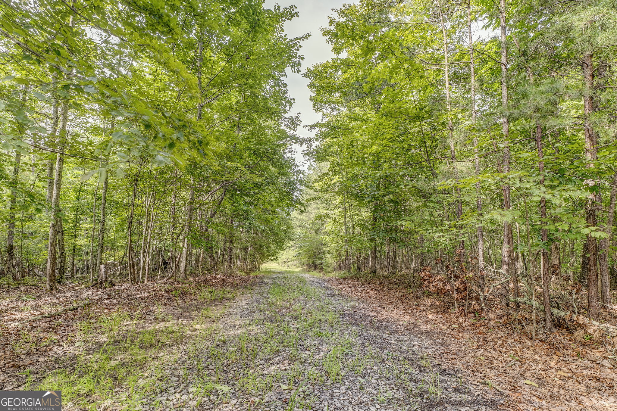 0 Paris Mtn RD