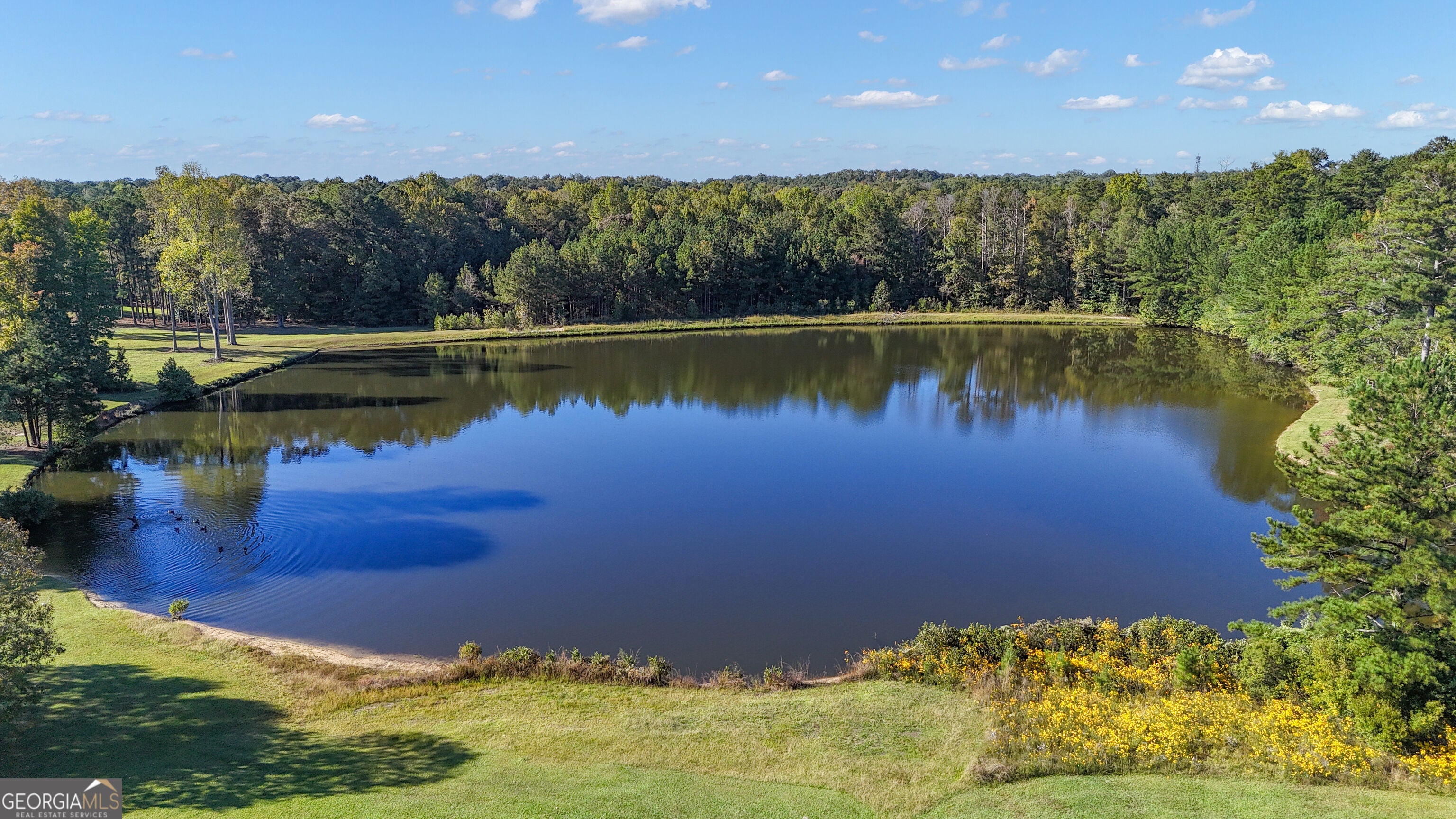 323 Beaumont Farms DR
