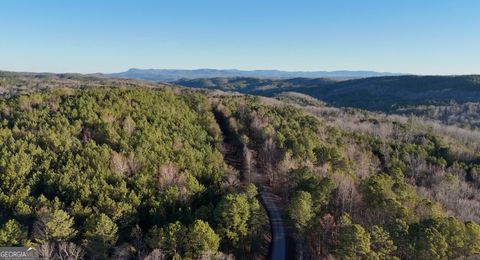 6 WEST Dry Pond RD Ranger GA 30734