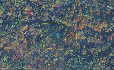 Photo of 1060 Nexus Drive, Ellijay, GA 30540 (MLS # 10805723)