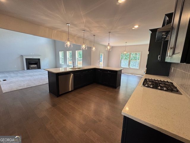 44 Palomino CIR 27