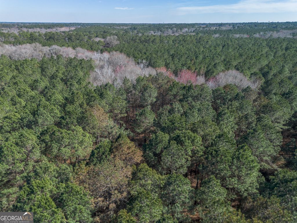 Photo of 4 Ben Giddens Road, Eastman, GA 31023 (MLS # 10704343)