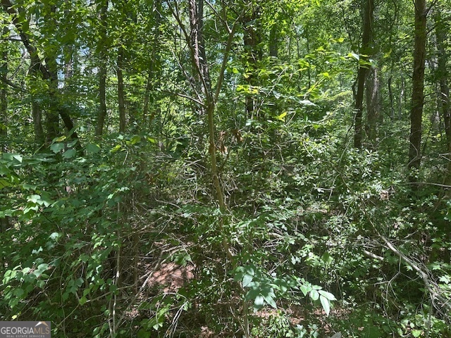 57 Dogwood TRL