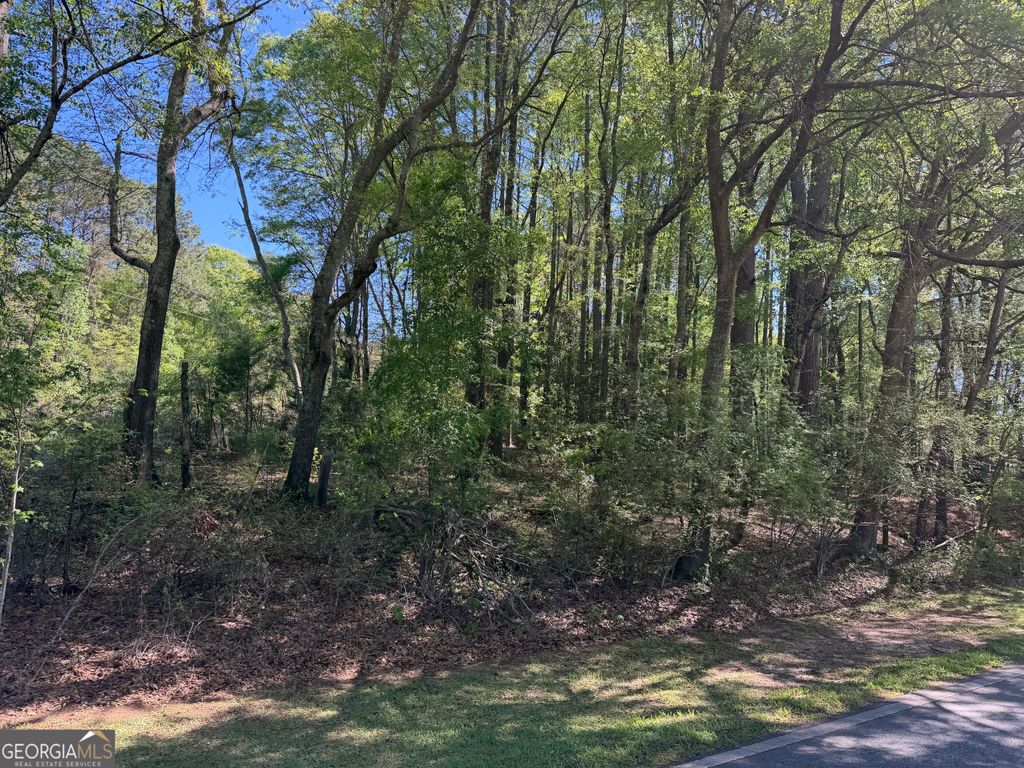 Photo of 147 Roberts Quarters Road, Concord, GA 30206 (MLS # 10727159)