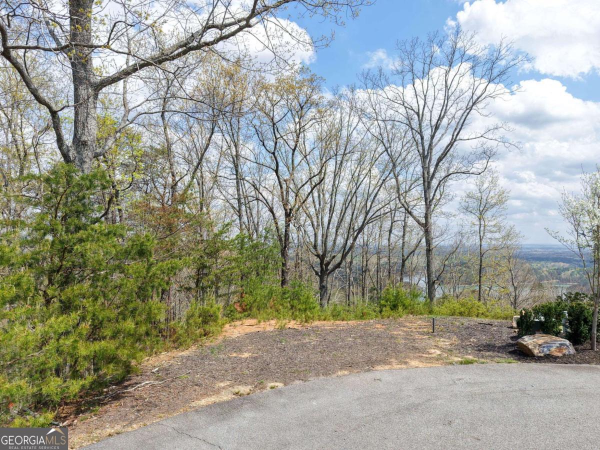 12 Signal Mountain CIR