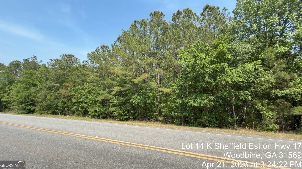 LOT 14 K Sheffield Est on Hwy 17
