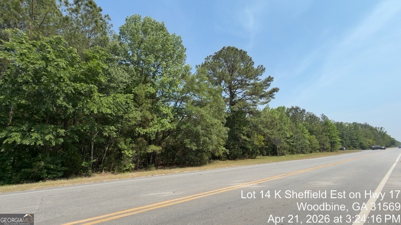 LOT 14 K Sheffield Est on Hwy 17