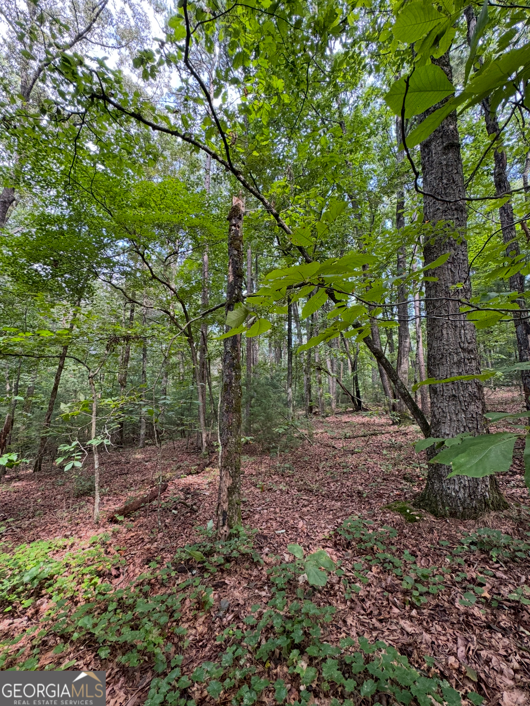 0 Holt RD
