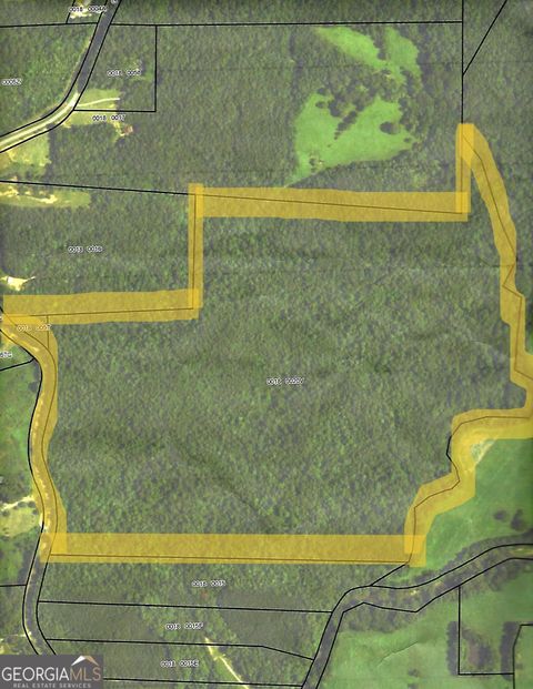 Photo of 0 George Green Road, Tallapoosa, GA 30176 (MLS # 10614283)