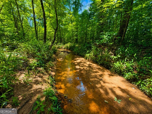 ADDRESS PRIVATE, MADISON, GA  - Image dacebd38335cf6e590efcaa647d7b924/3930007453