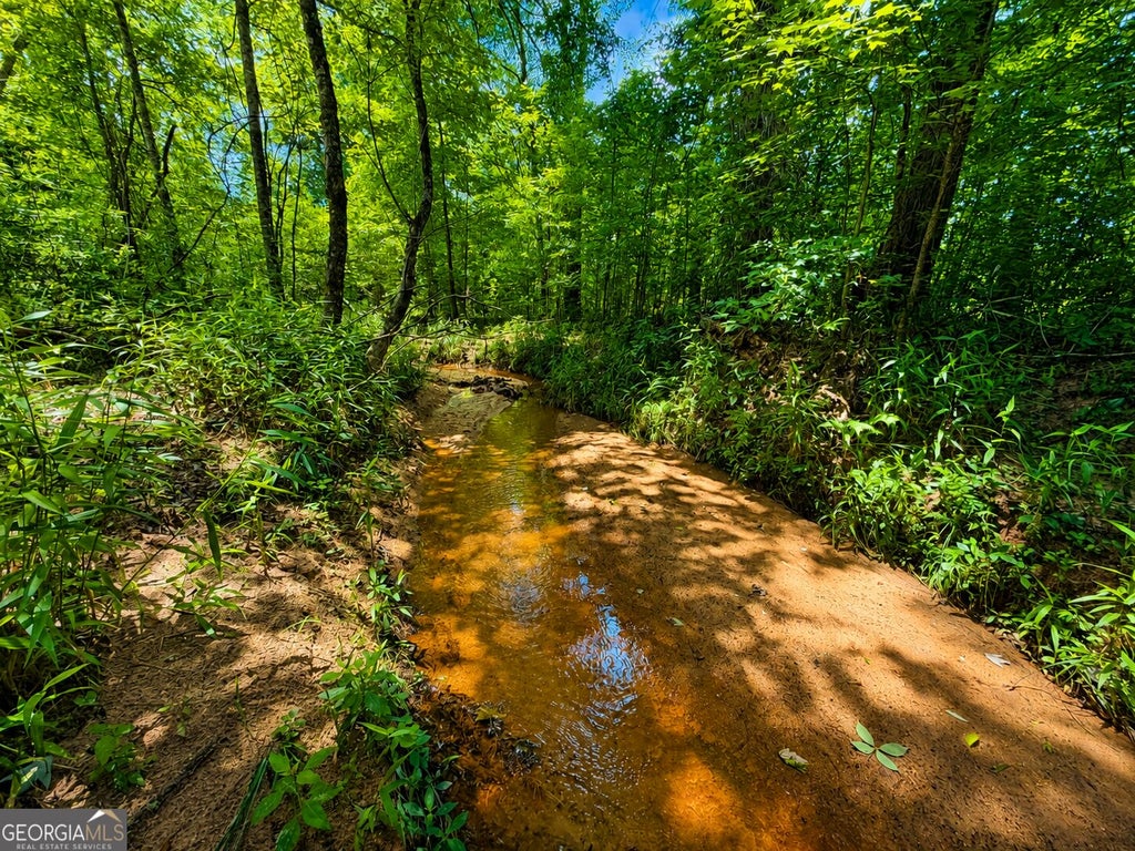 Photo of 29 Cochran Road, Madison, GA 30650 (MLS # 10836044)
