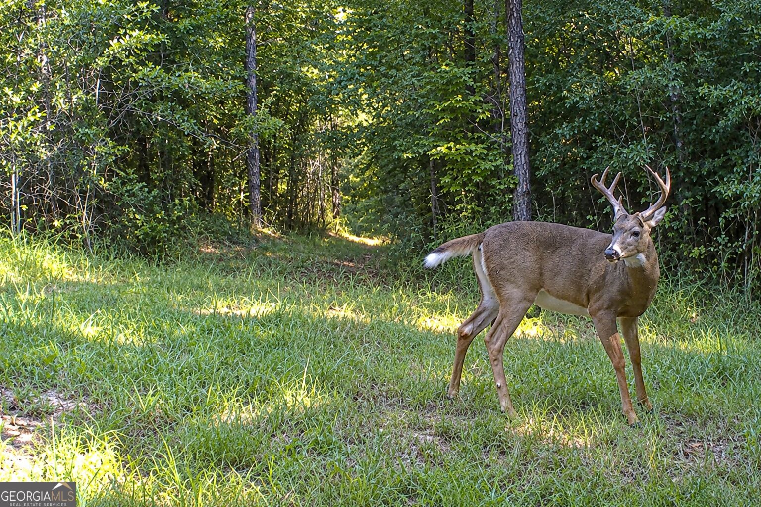 29 ACRES Cochran RD