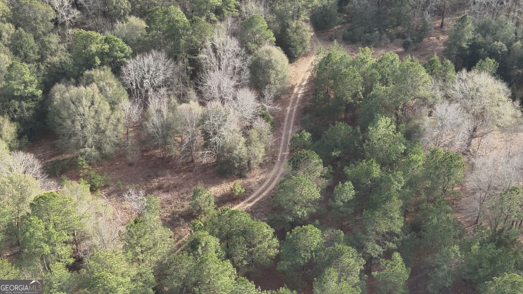 Photo of 4 Country Club Road #LOT 4, Sylvania, GA 30467 (MLS # 10755788)