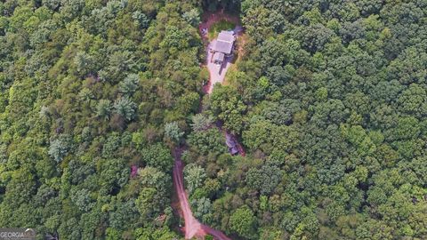 A home in Ellijay