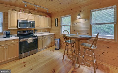 A home in Ellijay