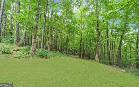 A home in Ellijay