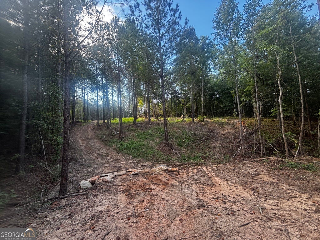 Photo of 2807 Cedar Creek Rd, Elberton, GA 30635 (MLS # 10841127)