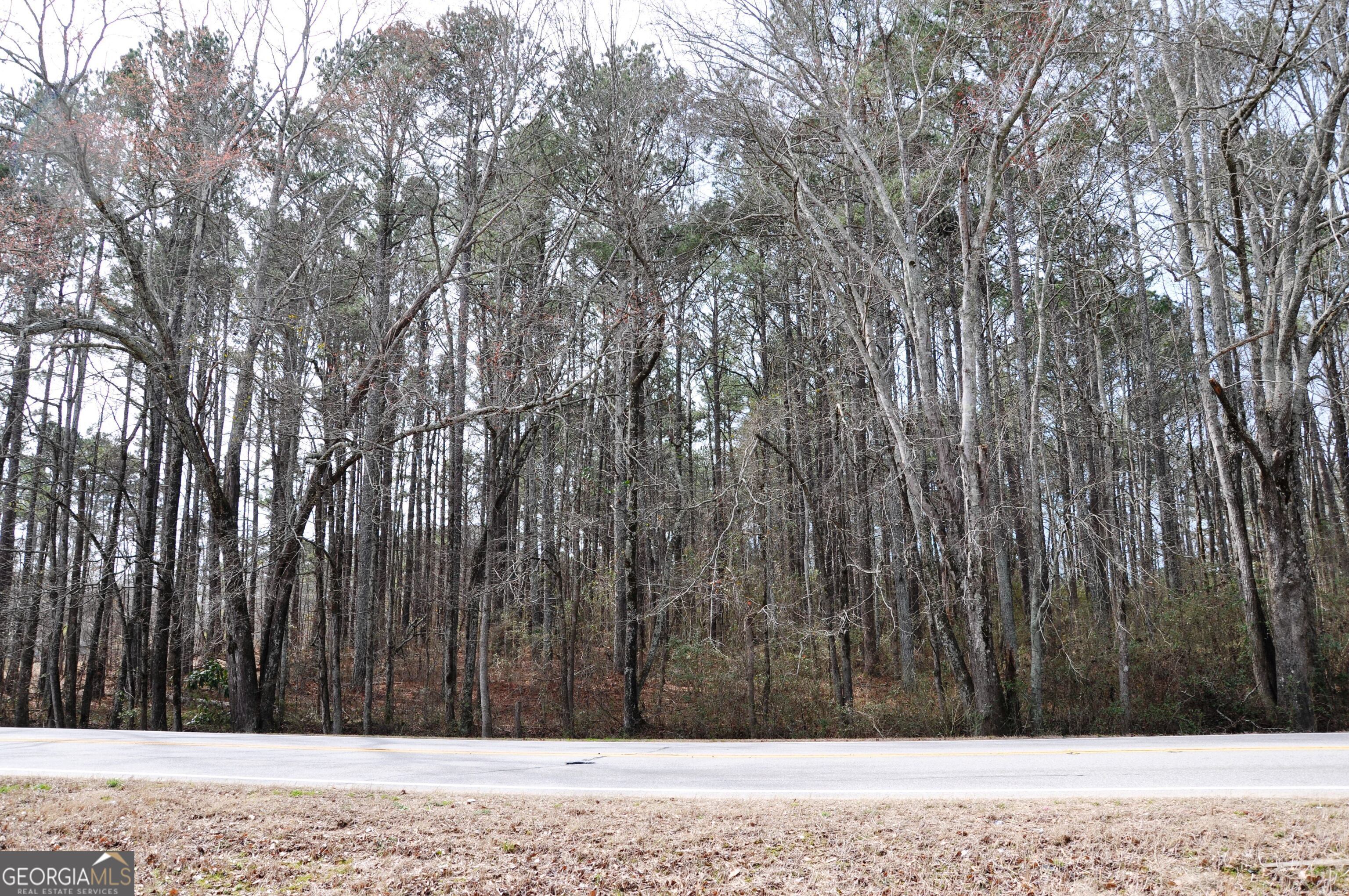 Prime location for this 2.67/- Acres on Monroe Hwy (Hwy 11) within site of Hwy 316 (University Parkway), walk across road to Bethlehem Christian Academy, property is level & wooded with gentle roll. Located within Barrow Co Suburban Neighborhood Character Area & Highway Corridor Overlay (HCO) allows for R-1 or R-2 Residential zonings (currently zoned R-1). Build or hold as investment for future development. Approx 1.5 miles to The Gateway w/doctor, dentist, professional business, apartments, townhomes, restaurants, near upcoming NGHS Medical Center & much more. Less than 3 miles to Barrow Crossing Shpg Ctr; Publix, Target, Old Navy, Belk, Ulta, Michaels, Pet Smart, Home Depot too many to list! Convenient to Athens, Monroe, Atlanta. Property rarely becomes available in this area.