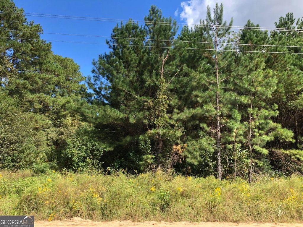 Photo of 0 Bell Road, Brooklet, GA 30415 (MLS # 10669995)