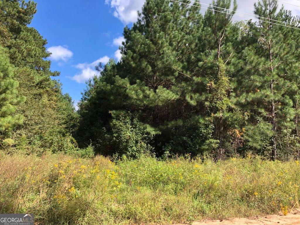 Photo of 0 Bell Road, Brooklet, GA 30415 (MLS # 10669995)