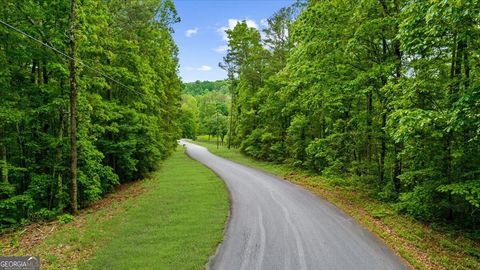 0 Stone Place DR Dawsonville GA 30534