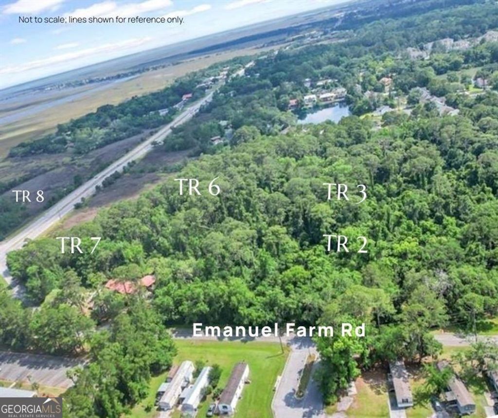 Photo of 6 Emanuel Farm Road, Brunswick, GA 31525 (MLS # 10666812)