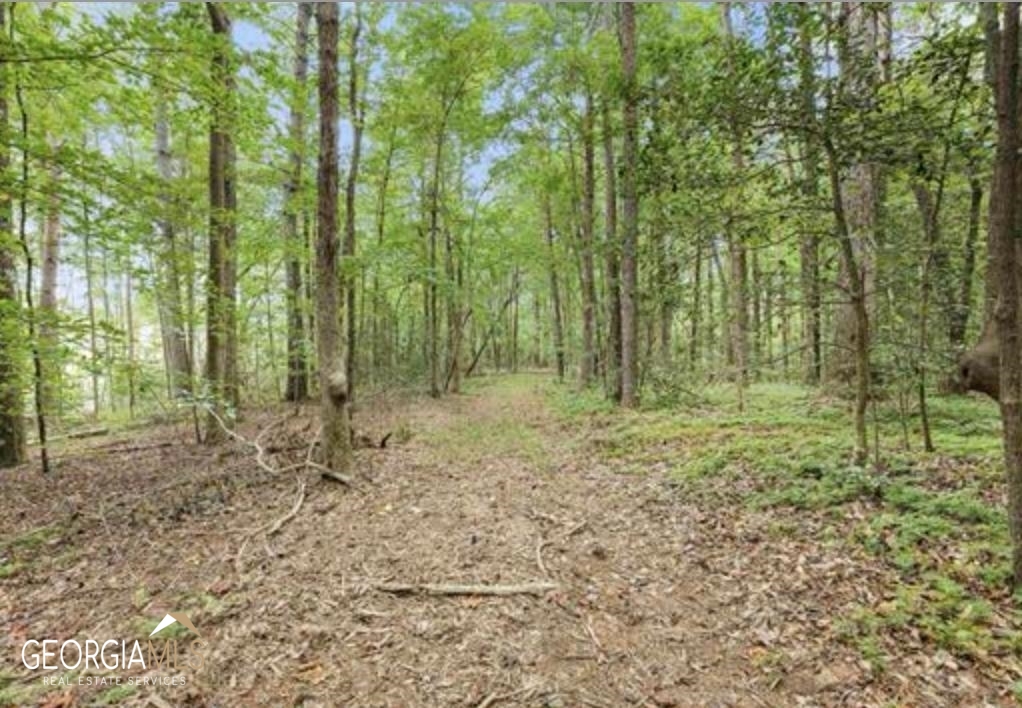 Come here and find your own quaint piece of paradise, that gives you the feel of total seclusion and yet conveniently located 2 minutes off of Duncan Bridge Rd, close to Hwy 365. Multiple building sites, mature hardwoods and very usable property, with tons of potential. Light restrictions that include no mobile, manufactured or modular homes. Directions: From Hwy 365, take Duncan Bridge Rd, Left on Mud Creek, Rt on Seldom Rest (Google maps will refer to it as John Loudermilk Rd), travel a few feet, New Road on Rt is Parker Point.